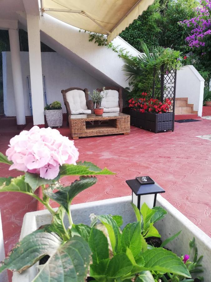 רוביני Apartments Poretti For 2,In Center Parking Free In The Yard,6 Min Beach Walk מראה חיצוני תמונה