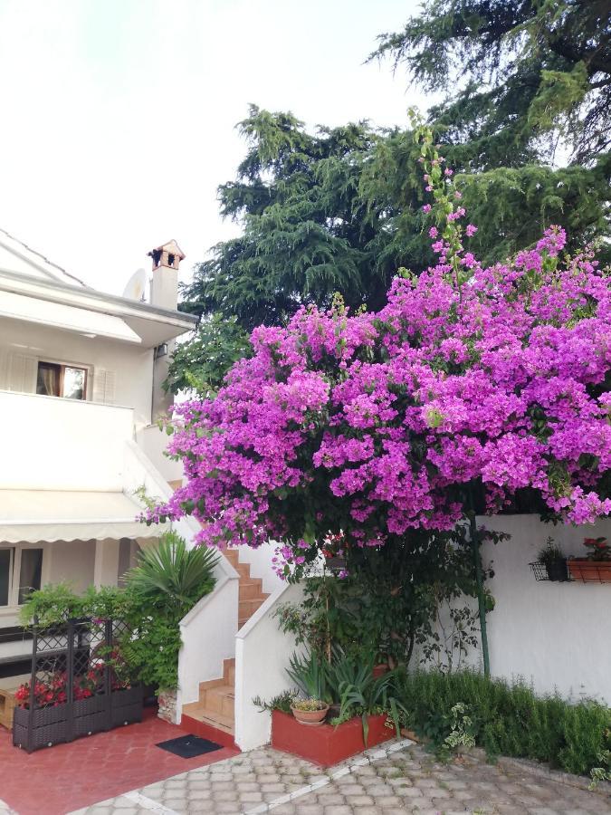 רוביני Apartments Poretti For 2,In Center Parking Free In The Yard,6 Min Beach Walk מראה חיצוני תמונה