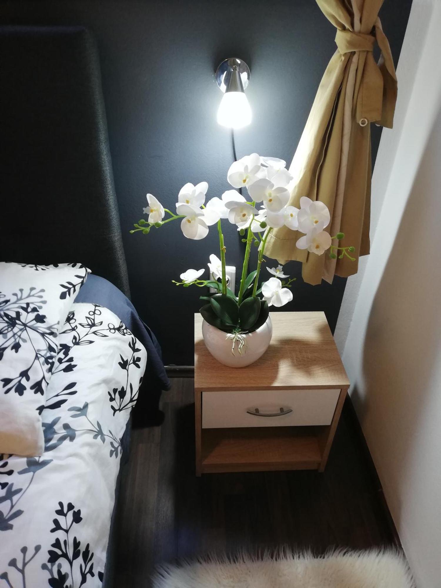 רוביני Apartments Poretti For 2,In Center Parking Free In The Yard,6 Min Beach Walk מראה חיצוני תמונה