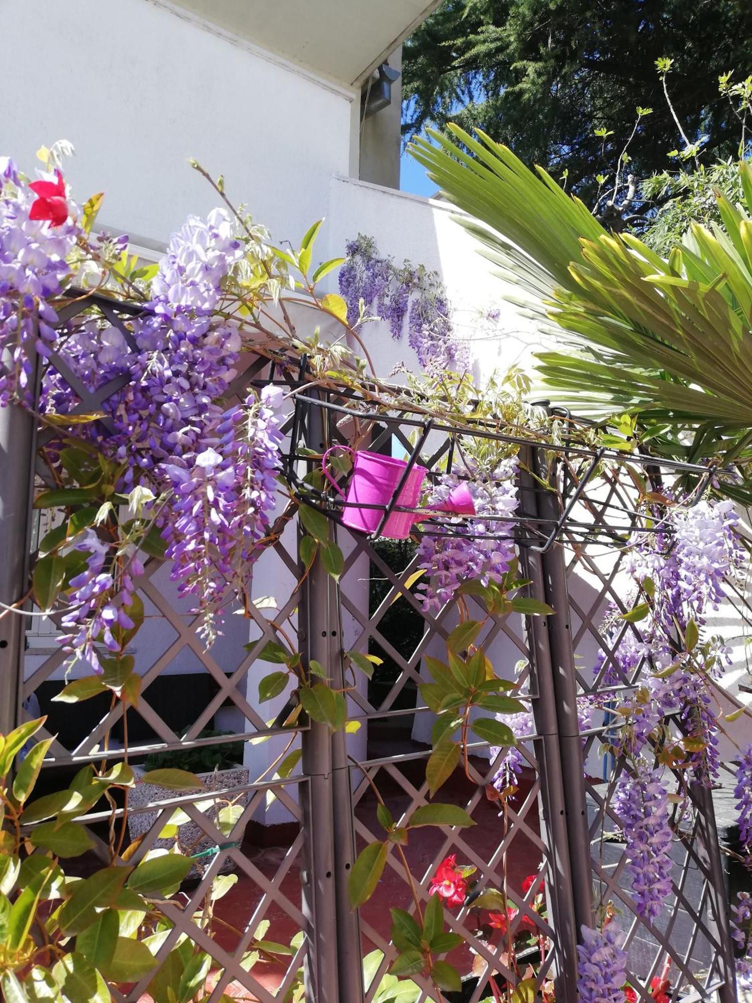 רוביני Apartments Poretti For 2,In Center Parking Free In The Yard,6 Min Beach Walk מראה חיצוני תמונה