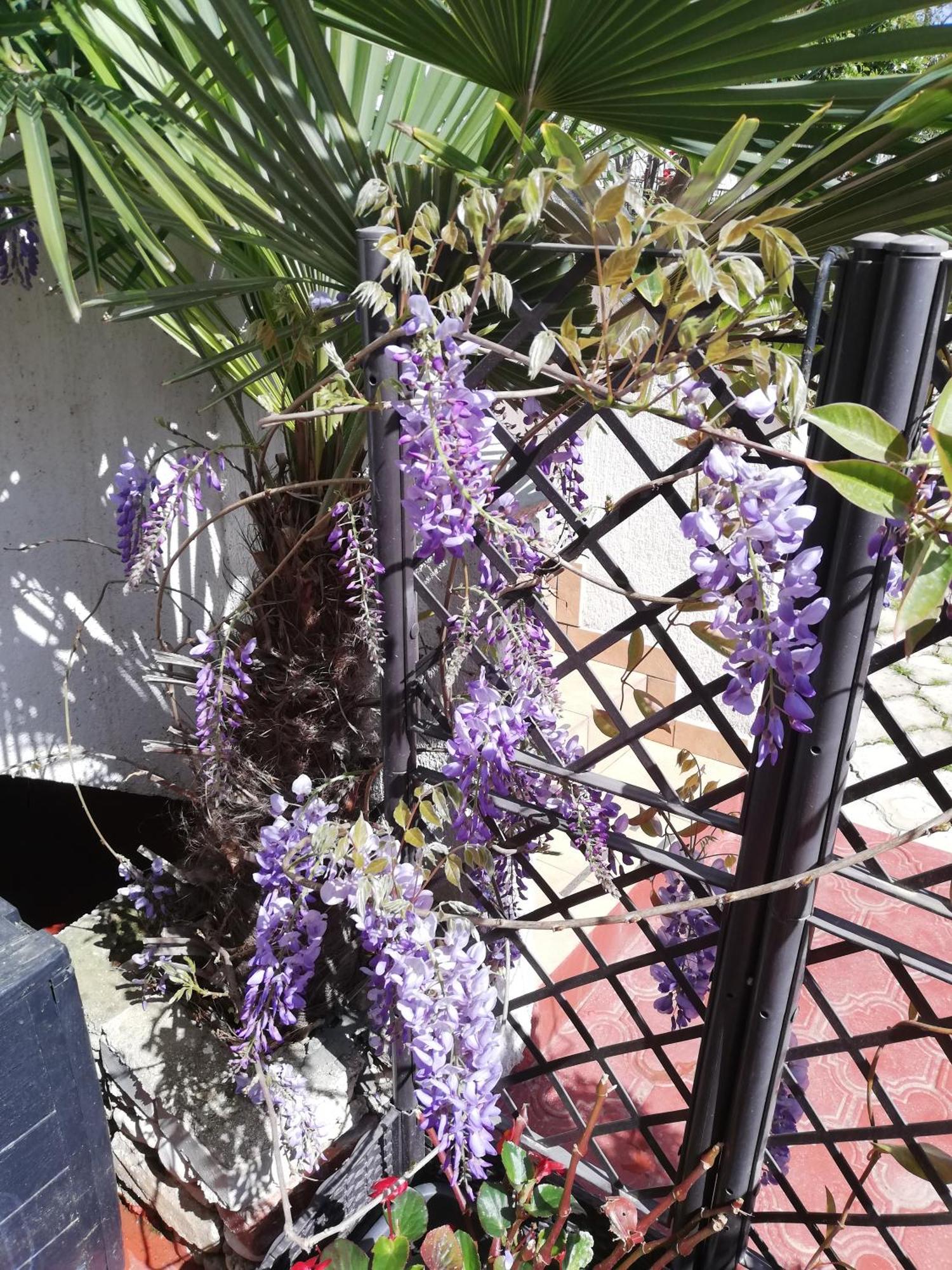 רוביני Apartments Poretti For 2,In Center Parking Free In The Yard,6 Min Beach Walk מראה חיצוני תמונה