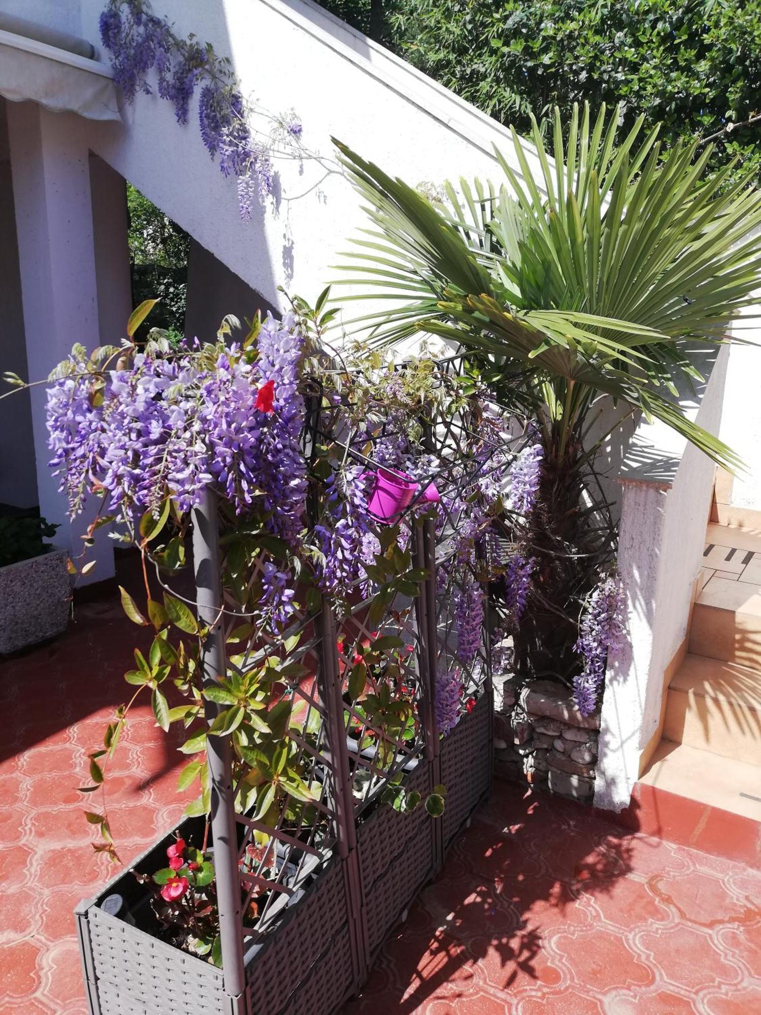 רוביני Apartments Poretti For 2,In Center Parking Free In The Yard,6 Min Beach Walk מראה חיצוני תמונה