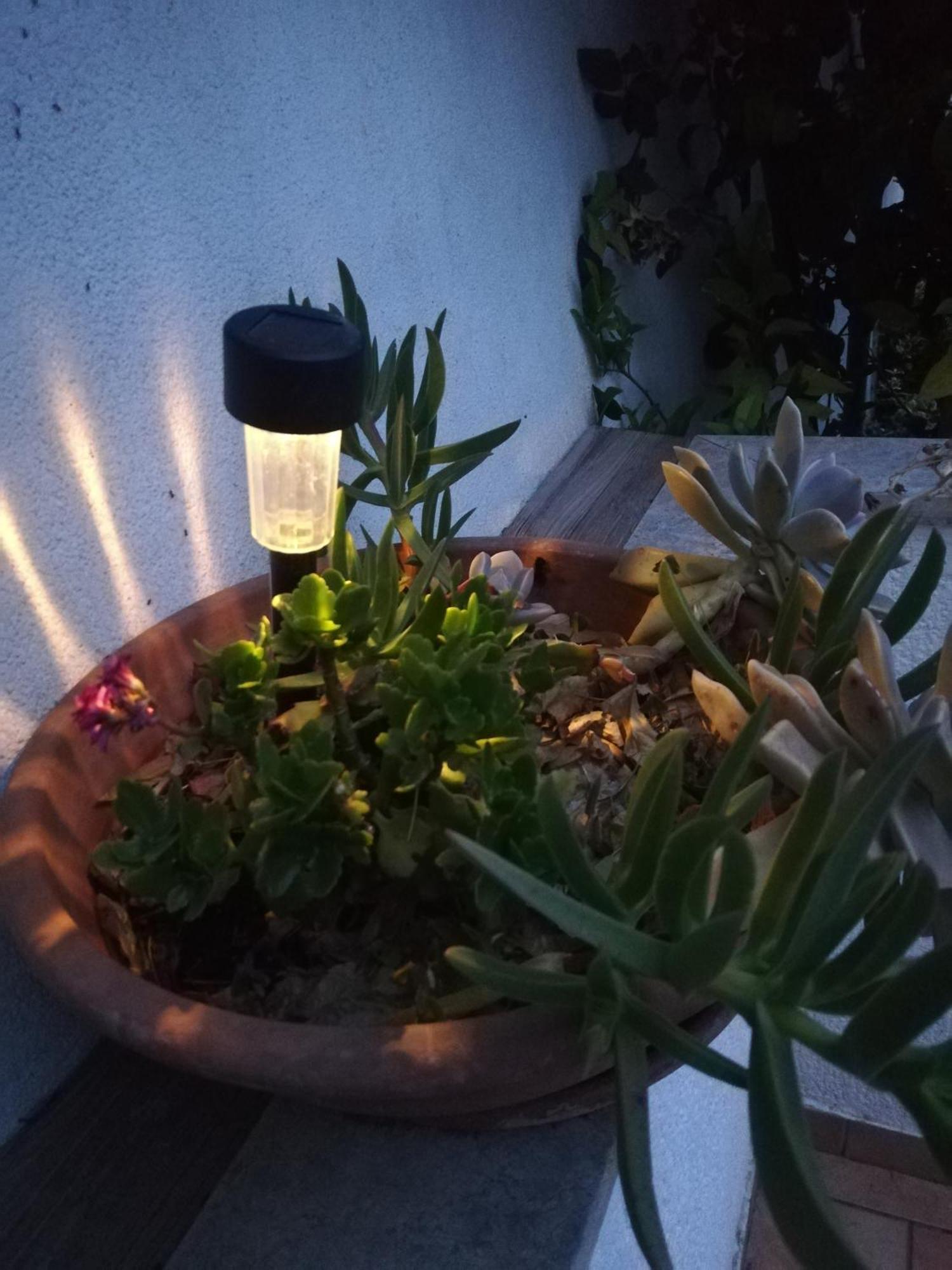 רוביני Apartments Poretti For 2,In Center Parking Free In The Yard,6 Min Beach Walk מראה חיצוני תמונה