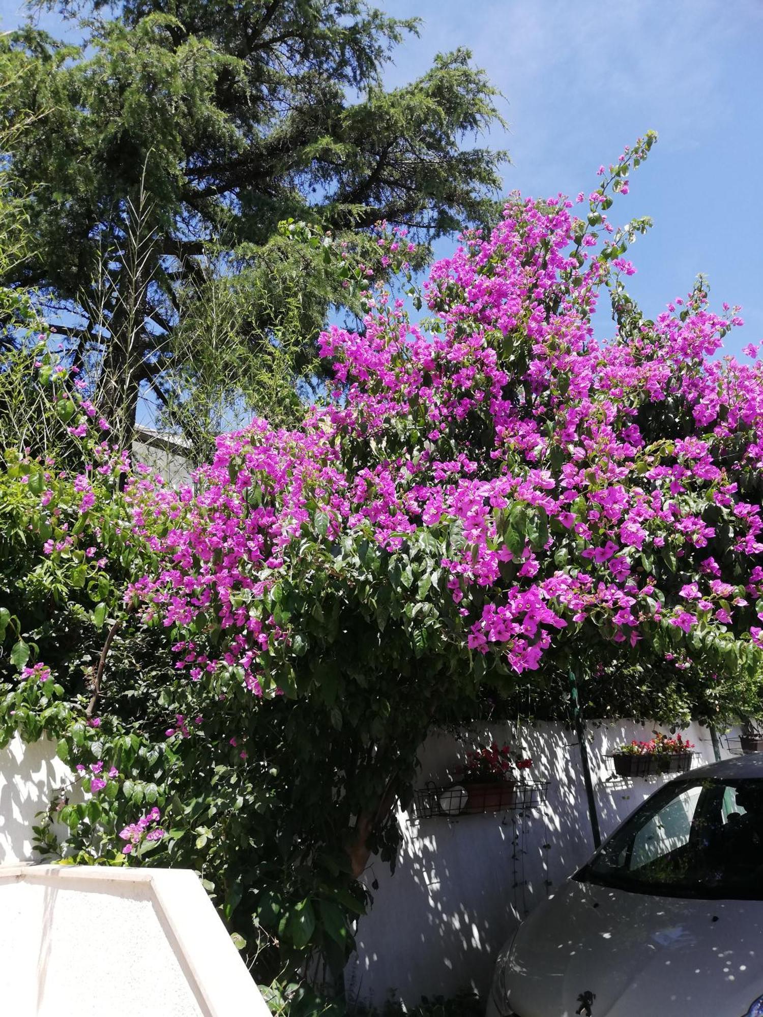 רוביני Apartments Poretti For 2,In Center Parking Free In The Yard,6 Min Beach Walk מראה חיצוני תמונה
