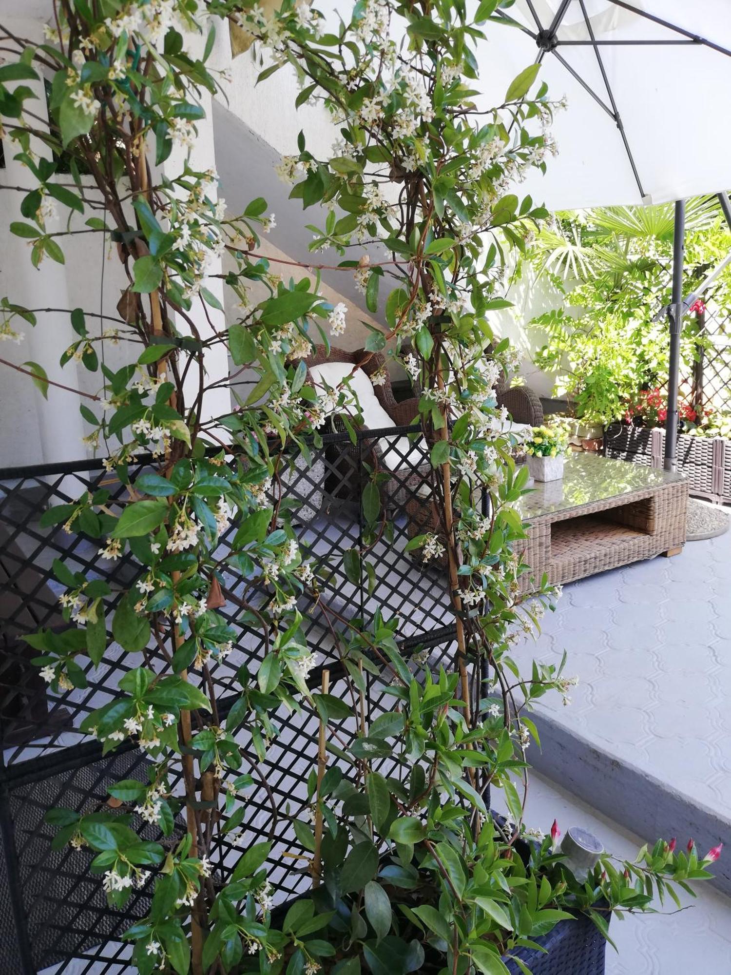 רוביני Apartments Poretti For 2,In Center Parking Free In The Yard,6 Min Beach Walk חדר תמונה